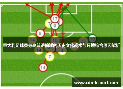 意大利足球员身高普遍偏矮的历史文化战术与环境综合原因解析