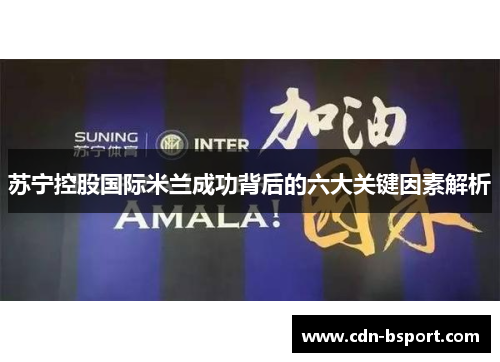 苏宁控股国际米兰成功背后的六大关键因素解析 苏宁控股国际米兰成功背后的六大关键因素解析