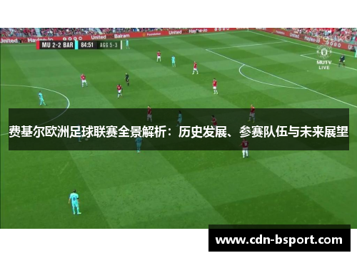 费基尔欧洲足球联赛全景解析：历史发展、参赛队伍与未来展望