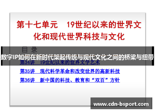 数字IP如何在新时代架起传统与现代文化之间的桥梁与纽带