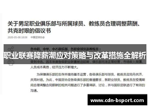 职业联赛降薪潮应对策略与改革措施全解析