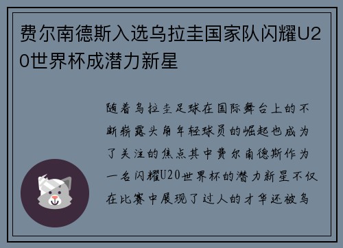 费尔南德斯入选乌拉圭国家队闪耀U20世界杯成潜力新星